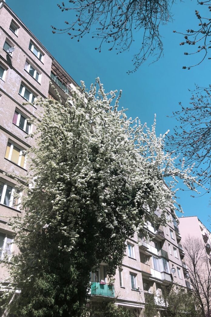 Dlaczego warto wspierać lokalnych producentów na rynkach?